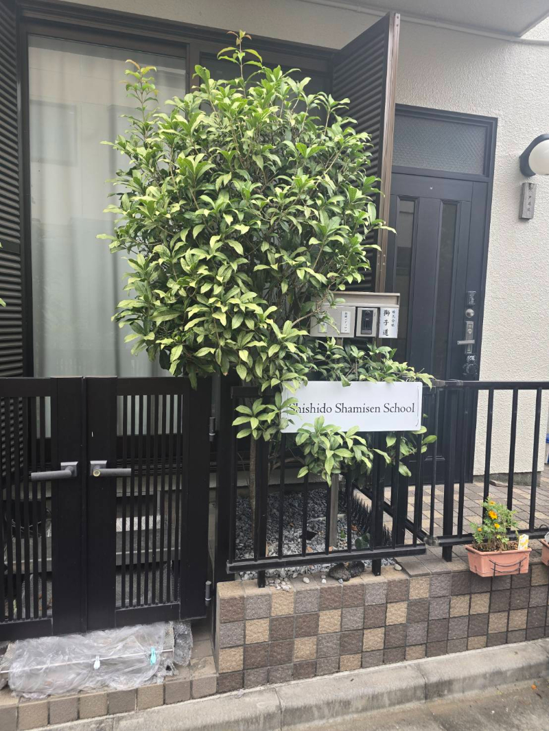 Shishido Shamisen School